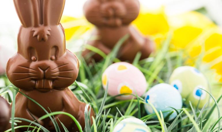 Coniglietti di cioccolato e uova colorate nell'erba.